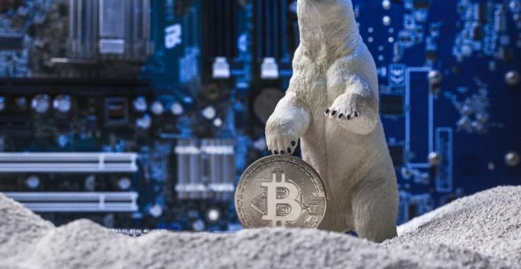 Another Crypto Winter Or a New Dawn for NFTs – Industry Insiders Share More 2022 Predictions