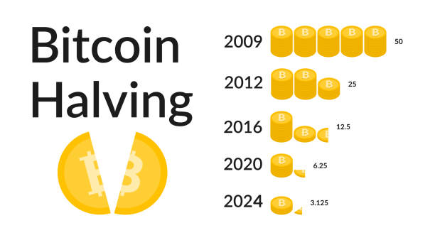 Bitcoin Halving 2024. When is next bitcoin halving. Block reward reduced in two times. Deflationary currency. Vector illustration isolated on white background
